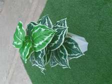 Artificial home plants