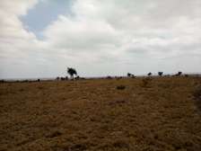 200 Acres of Land For Sale in Isinya