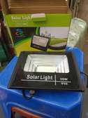 30W Solar Light