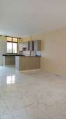 2 Bed Apartment in Thindigua