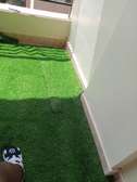 experience our luxurious grass carpet