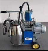 SINGLE AND DOUBLE BUCKET MILKING MACHINE FOR SALE