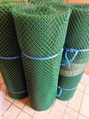 Plastic Poultry Mesh