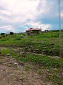 Genuine plots for sale in  Athi River