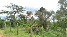 Ideally Located 1/4 Acre Plots With Forest Mt Kenya View