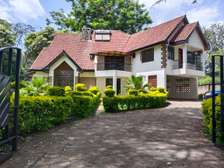A lovely villa for rent in Karen Nairobi