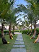 Landscaping and gardening design