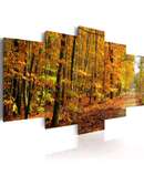 Alley among Colourful leaves wall decor