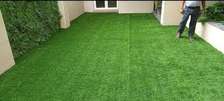 clean green carpet grass