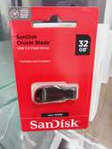 Sandisk High PERFORMANCE 32 GB/32GB Flash Disk