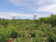 1,012 m² Residential Land at Diani Beach Road