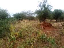 153 Acres of Land For Sale in Ngatateak - Namanga Rd