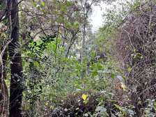 Commercial Land at Karen