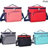 Insulated lunch bag  size 40*30*20cm