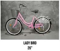 Girls Bikes (Lady Bird)
