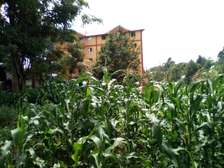 1/4-Acre Plot For Sale in Wangige