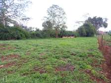 Thome 1 - 0.5 Ac Residential Plot For Sale