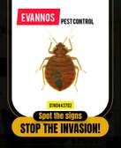 Bedbugs cockroach removal
