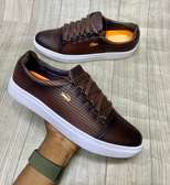 Fashionable Lacoste Leather Men's Laced Sneakers