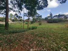 0.42 ac Land in Nyari