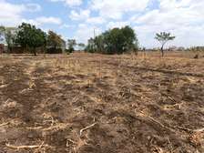 Plot for sale