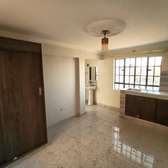 Studio Apartment with En Suite in Kinoo