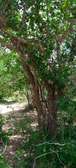 500acres,200acres and 600acres available on sale