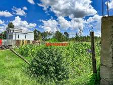 Prime Residential plot for sale in Kikuyu, lusingetti
