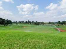 MIGAA GOLF ESTATE, Golf Front Plot, 1/8 of an acre