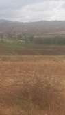 Several Parcels of Farm Land Available For Lease in Thika