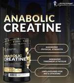 Anaboic creatine 300g