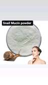 Snail Mucin powder
