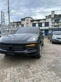 Porce cayenne