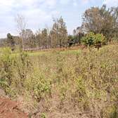 40X80ft PLOTS FOR SALE AT KENOL TOWN JUST BEHIND MAGUNAS