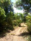 10 Acres Available For Sale in Malindi