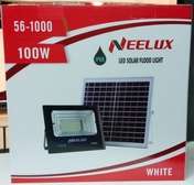 Neelux Solar Flood Light 100w.