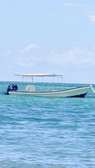 24ft Panga Boat for Sale – Twin 60HP 4-Stroke Engines