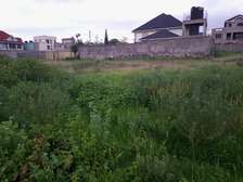 Kahawa Sukari quarter acre plot