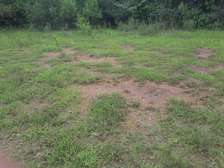 Lovely one and half ( 1.5 ) acre land in Karen