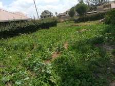 EIGHTH OF AN ACRE PLOT IN MLOLONGO