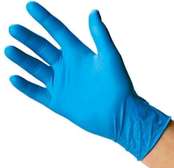 Disposable Gloves (pair)