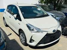 Toyota Vitz Hybrid 2019
