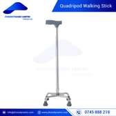Quadripod Walking Stick