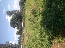 Quick sale   Land for sale/cheplengu/Nandi county