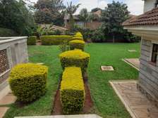 1 Bed House with En Suite in Kitisuru