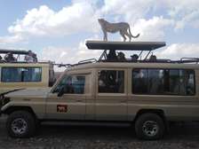 Masai Mara Transfers from Nairobi