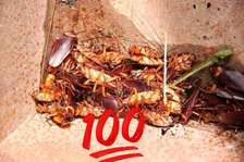 Professional fumigation services