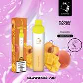 Gunnpod Air 3000 Puffs Rechargeable Vape - Mango Peach