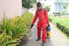 Fumigation and pest Control Services Kahawa West