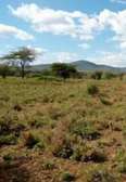 5,000 Acres On Ewaso Nyiro River in Kajiado Is For Sale